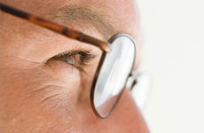 designer brands | Hadley, MA | Vision Showcase | 413-584-8324	